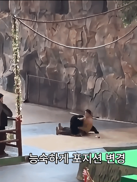 중국-항저우-동물원-흑곰-공연중-곰의-공격-4-이미지