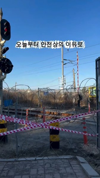 혼여하기-좋은-여행지로-추천받던-묵호-근황.gif-3-이미지