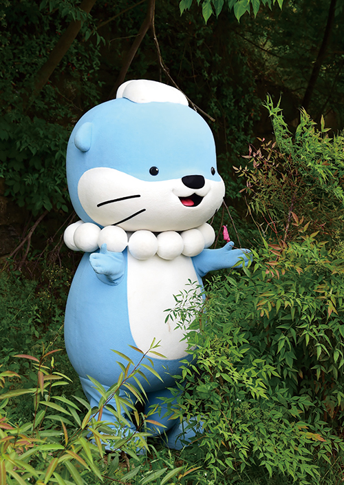 지역-마스코트-정착에-성공했다는-지역-8-이미지