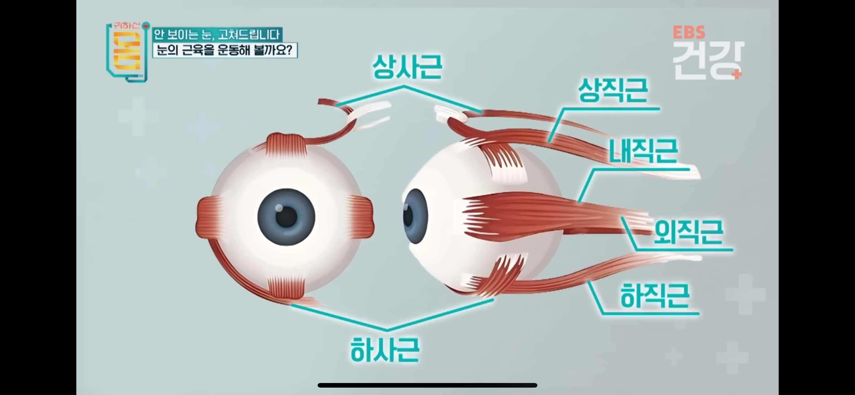 안구건강관리법-메모-8-이미지