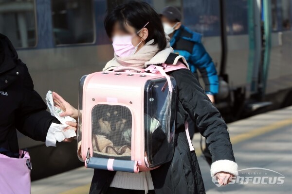 설-쇠러-할머니댁-가는-K-강아지들🐶-5-이미지