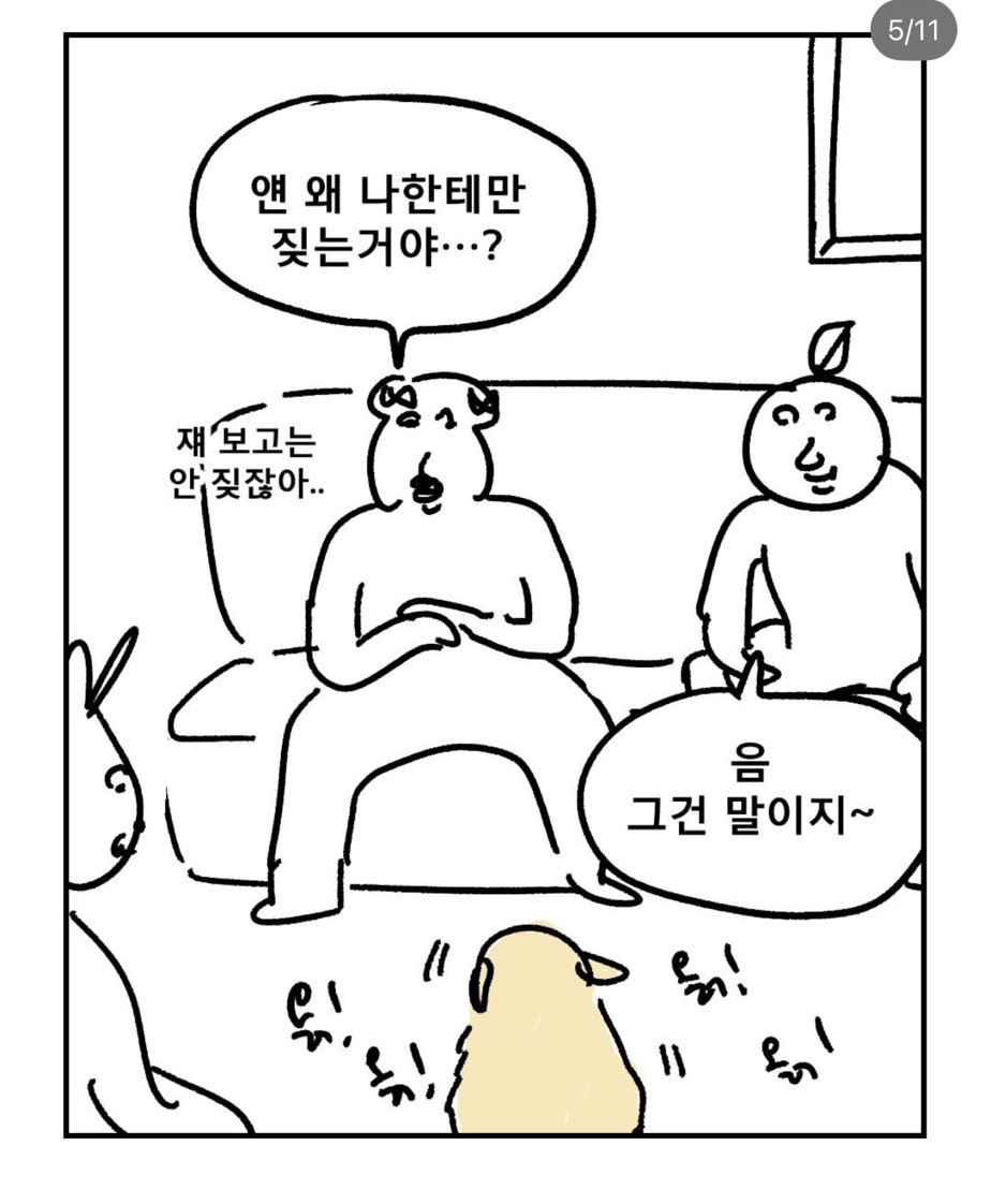 친구네-개가-나만-보면-짖은-이유-4-이미지