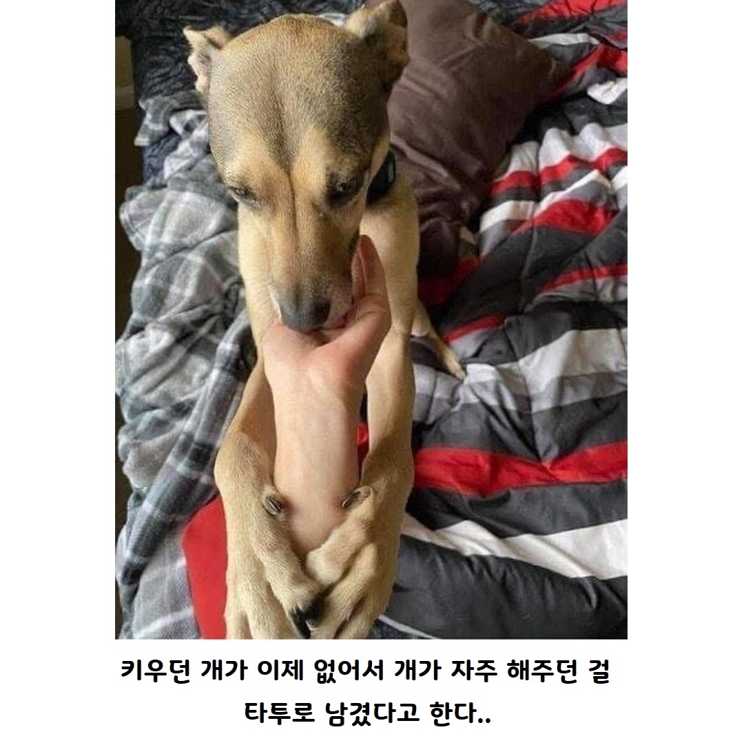 어느-남자의-특이한-타투-1-이미지