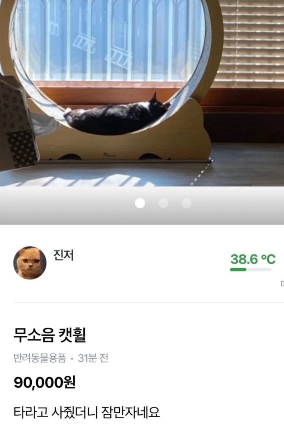 무소음-캣휠-0-이미지