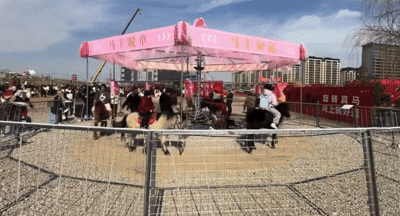 살아-있는-말로-회전목마를?…중국-놀이기구-'동물-학대'-논란-0-이미지