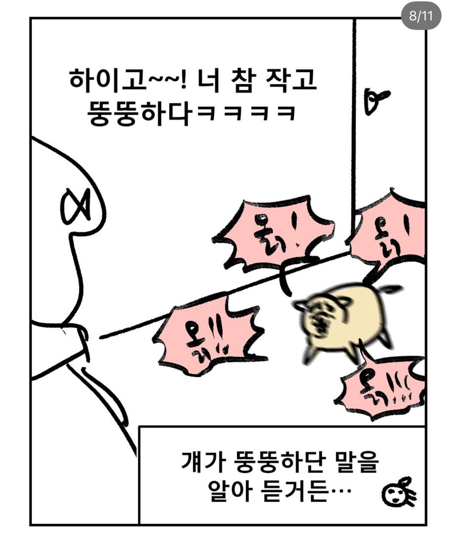 친구네-개가-나만-보면-짖은-이유-7-이미지