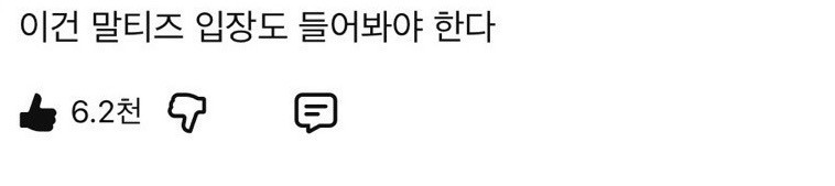 말티즈-입장도-들어봐야-한다는-영상-0-이미지