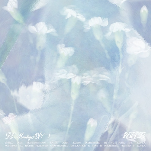 VIVIZ---Citrus-0-이미지