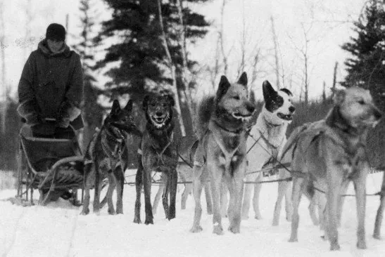 동계올림픽-정식-종목이-될-뻔한-스포츠들-18-이미지