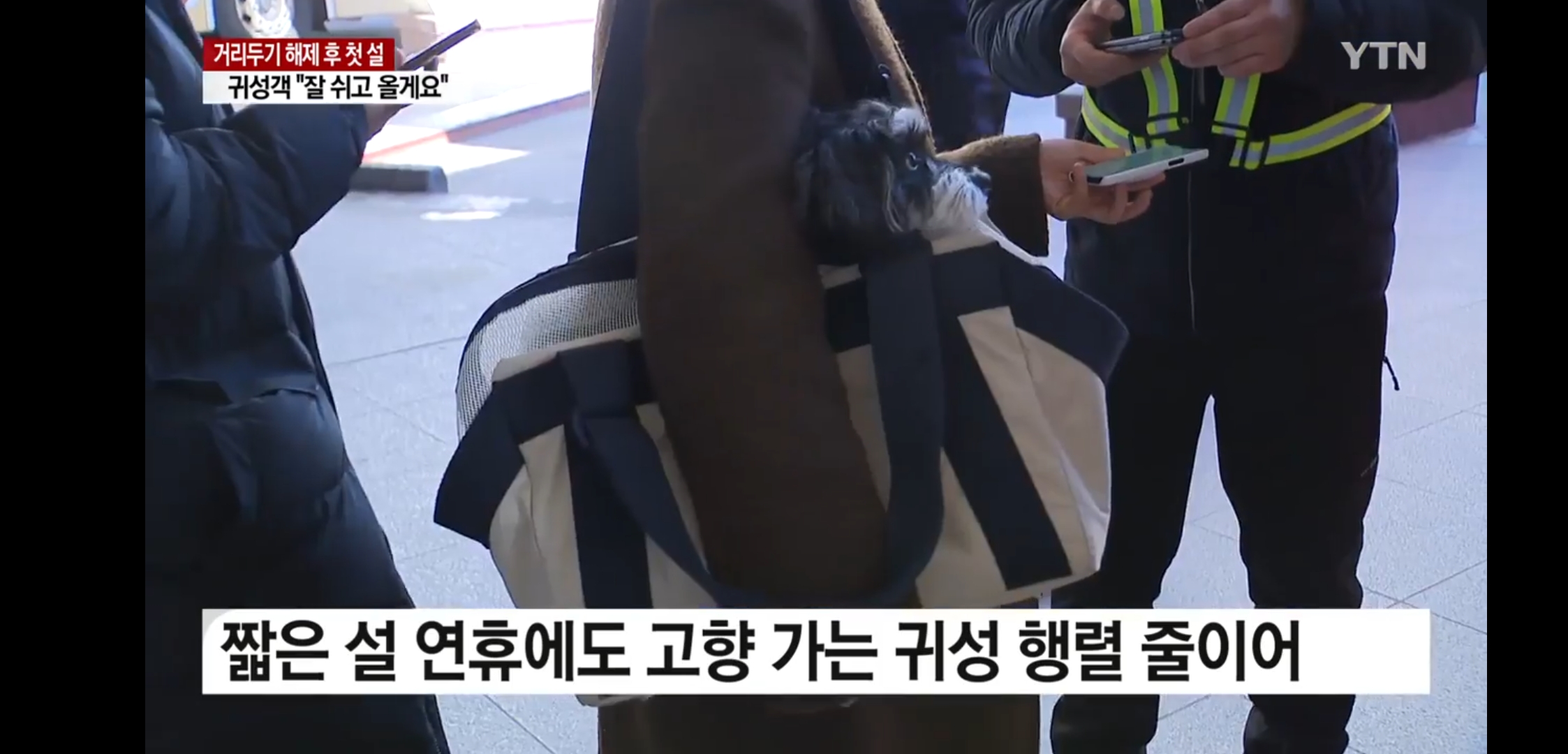 설-쇠러-할머니댁-가는-K-강아지들🐶-1-이미지