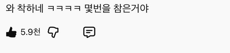 말티즈-입장도-들어봐야-한다는-영상-1-이미지