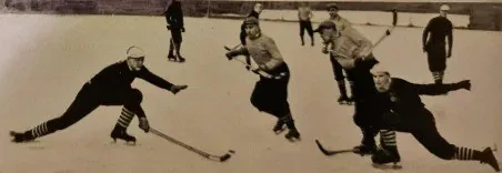 동계올림픽-정식-종목이-될-뻔한-스포츠들-29-이미지