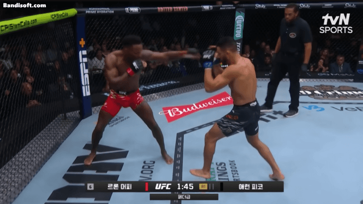 최근-10년간-나온-UFC-올해의-KO-16-이미지