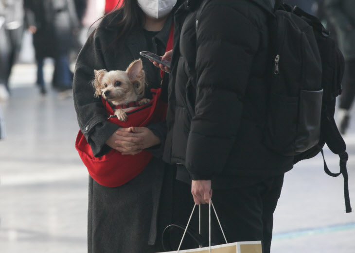 설-쇠러-할머니댁-가는-K-강아지들🐶-2-이미지