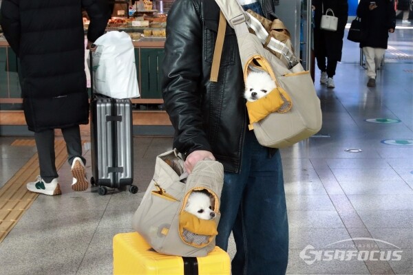 설-쇠러-할머니댁-가는-K-강아지들🐶-7-이미지