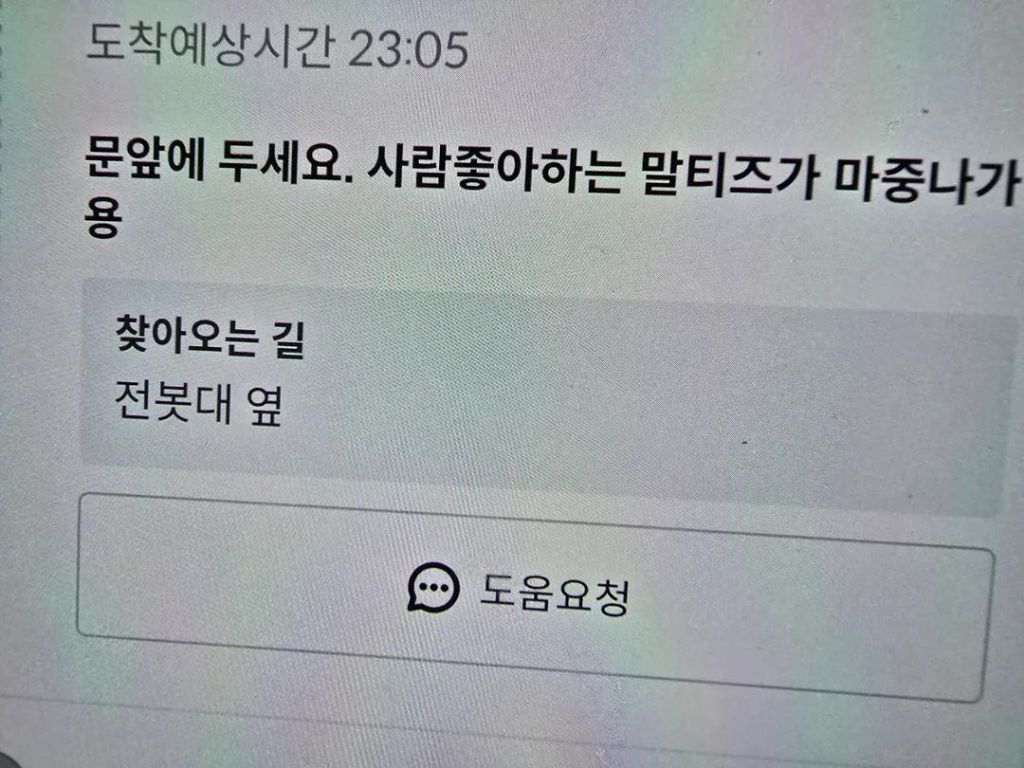 배달요청사항:-사람-좋아하는-말티즈가-마중나가용-1-이미지