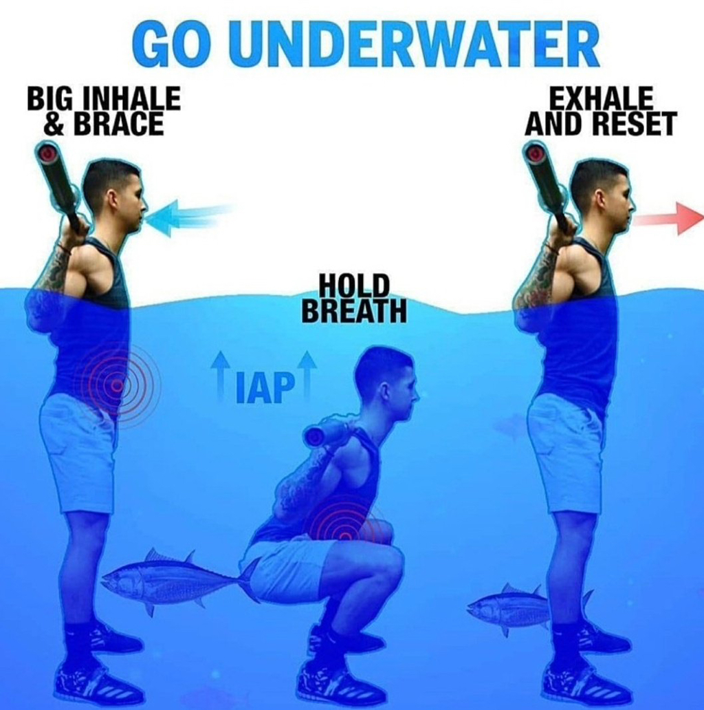 세상에-내가-수백만원-주고-PT-받으면서-맨날맨날-트레이너한테-궁금증머신으로-배운-정보-여기-다-있다.twt-0-이미지