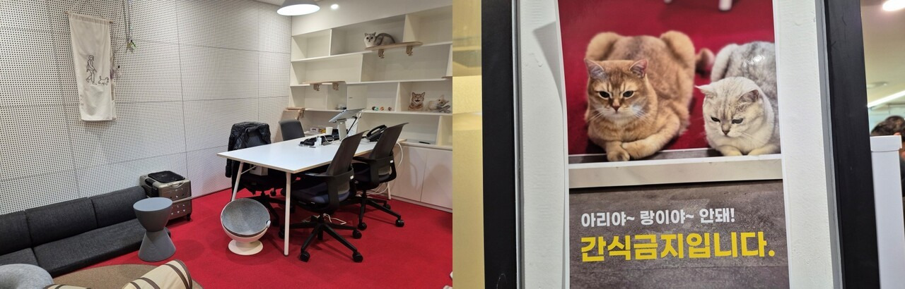 기자들-불러서-고양이-자랑한-제약사-대표-7-이미지