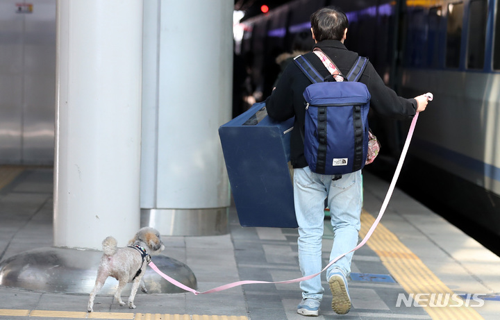 설-쇠러-할머니댁-가는-K-강아지들🐶-13-이미지