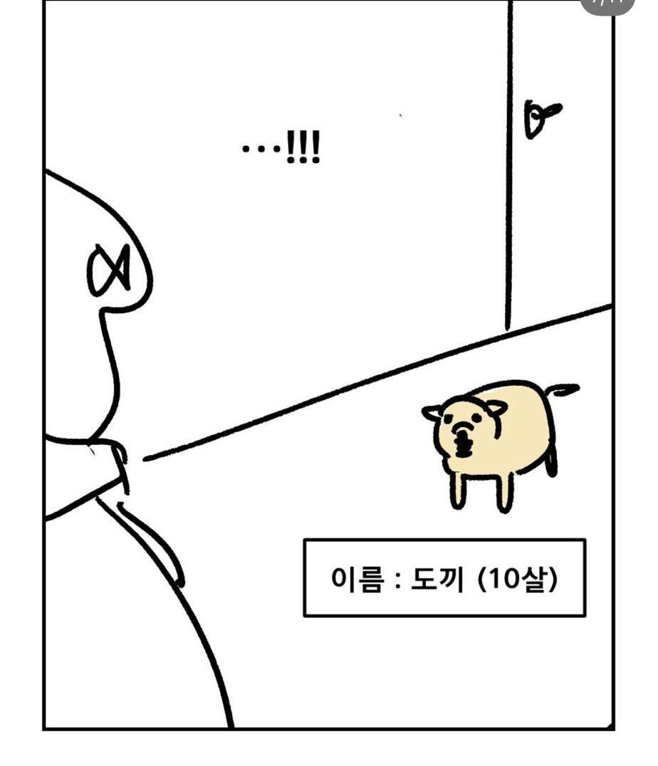 친구네-개가-나만-보면-짖은-이유-6-이미지