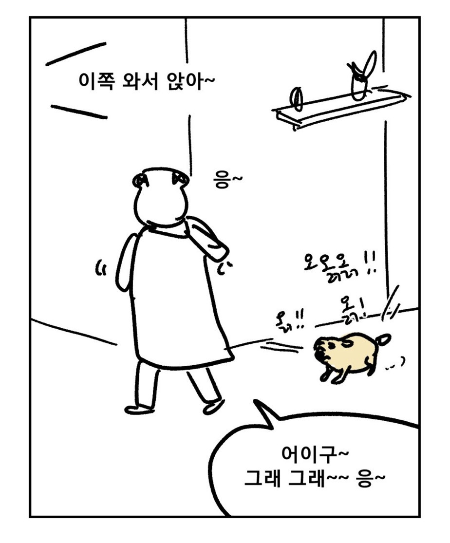 친구네-개가-나만-보면-짖은-이유-1-이미지