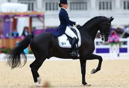 동계올림픽-정식-종목이-될-뻔한-스포츠들-13-이미지