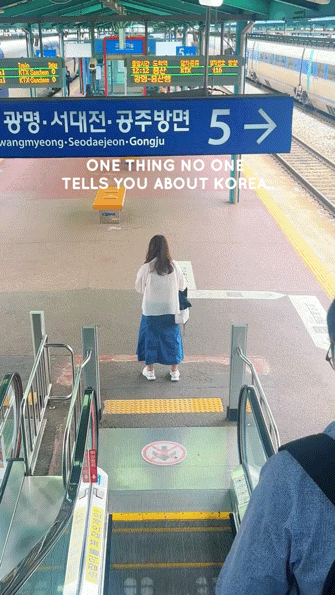 한국에서-4년째-살고-있는-외국인이-이해-안-간다는-거-0-이미지