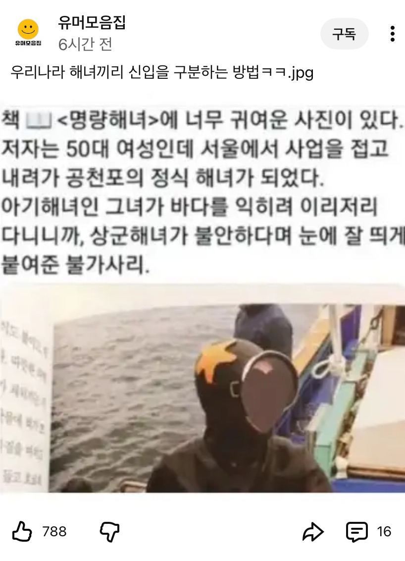 우리나라-해녀들끼리-신입-구분-하는-법-0-이미지