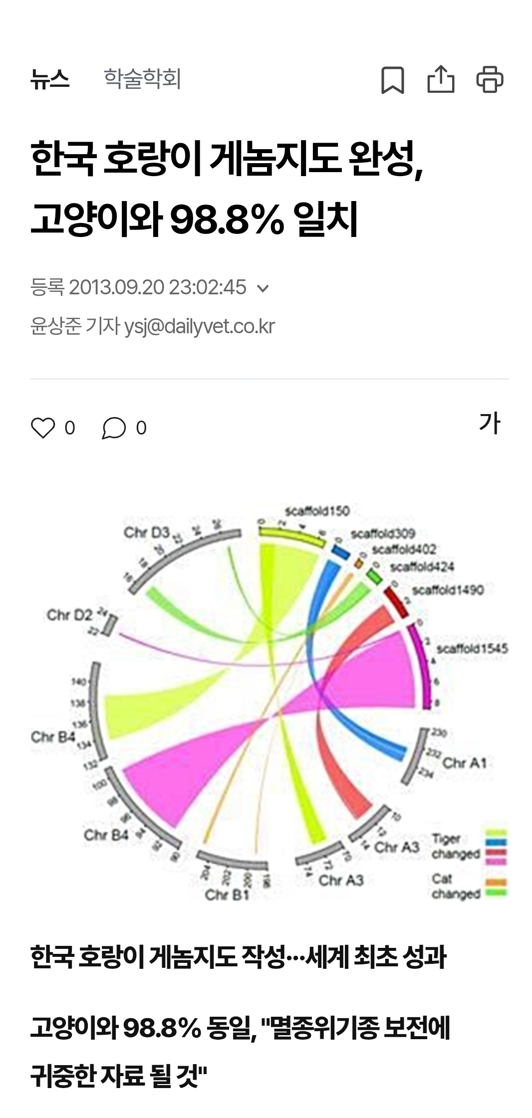 고양이=가정용-호랑이임이-증명됨-2-이미지