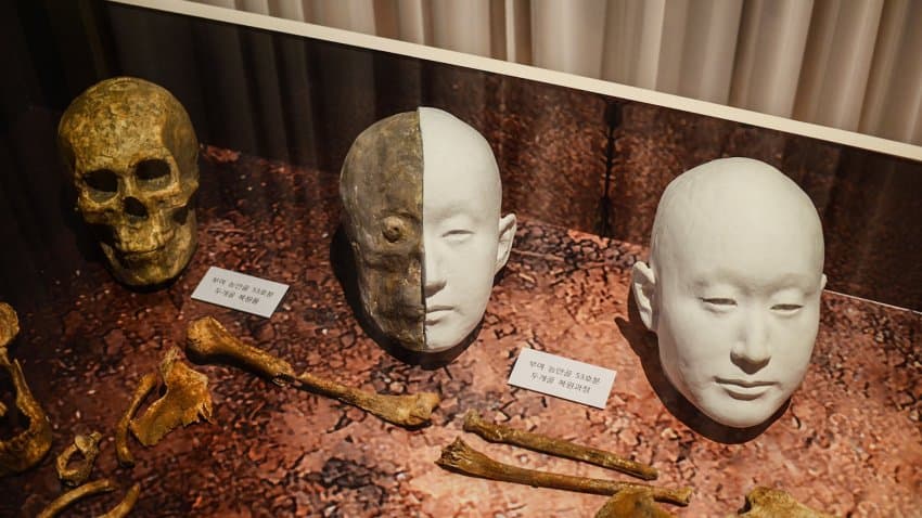 고대-백제인-외모-복원-근황-0-이미지