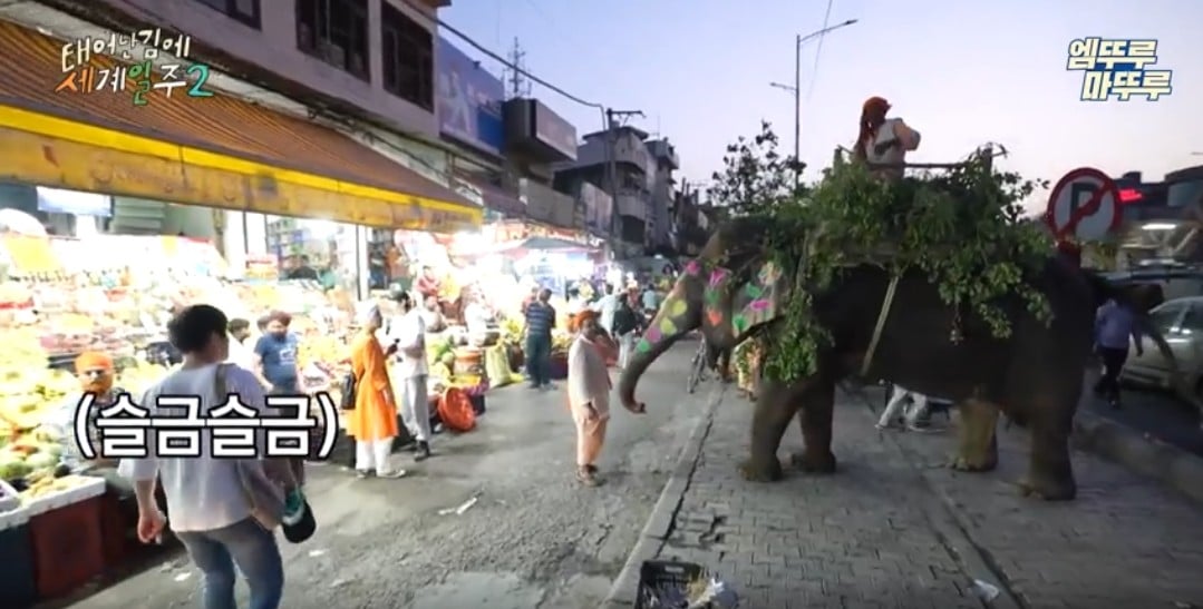 과일가게에서-만난-코끼리에게-다-퍼준-기안84-8-이미지
