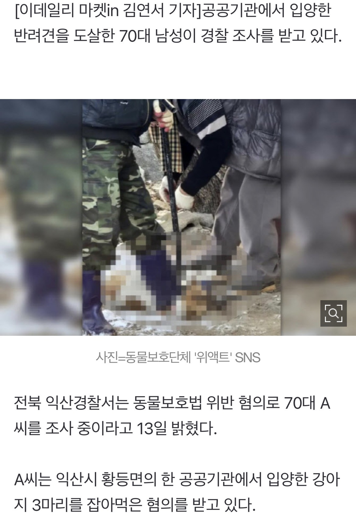 공공기관서-반려견-3마리-입양해-잡아먹은-70대,-경찰-조사-0-이미지