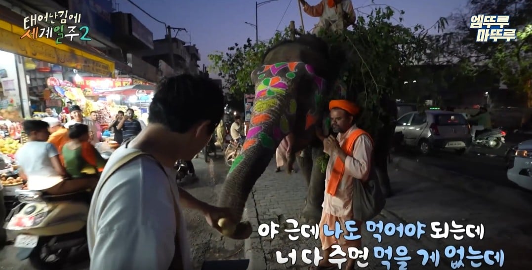 과일가게에서-만난-코끼리에게-다-퍼준-기안84-34-이미지