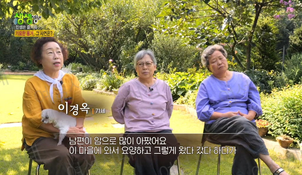 비혼여성의-로망-그자체인-생생정보통-세-할머니-55-이미지