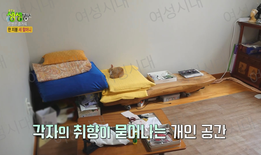 비혼여성의-로망-그자체인-생생정보통-세-할머니-10-이미지