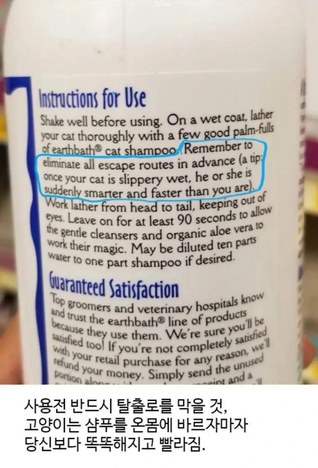 고양시-샴푸-사용시-주의사항-0-이미지