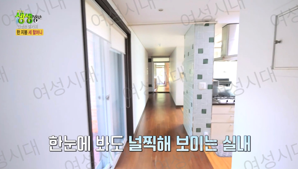 비혼여성의-로망-그자체인-생생정보통-세-할머니-4-이미지