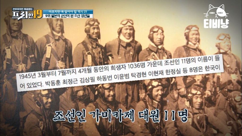 '홍자매-신작-출연'-日-후쿠시-소타,-우익-논란…-"카미카제-특공대-조부-존경"-15-이미지