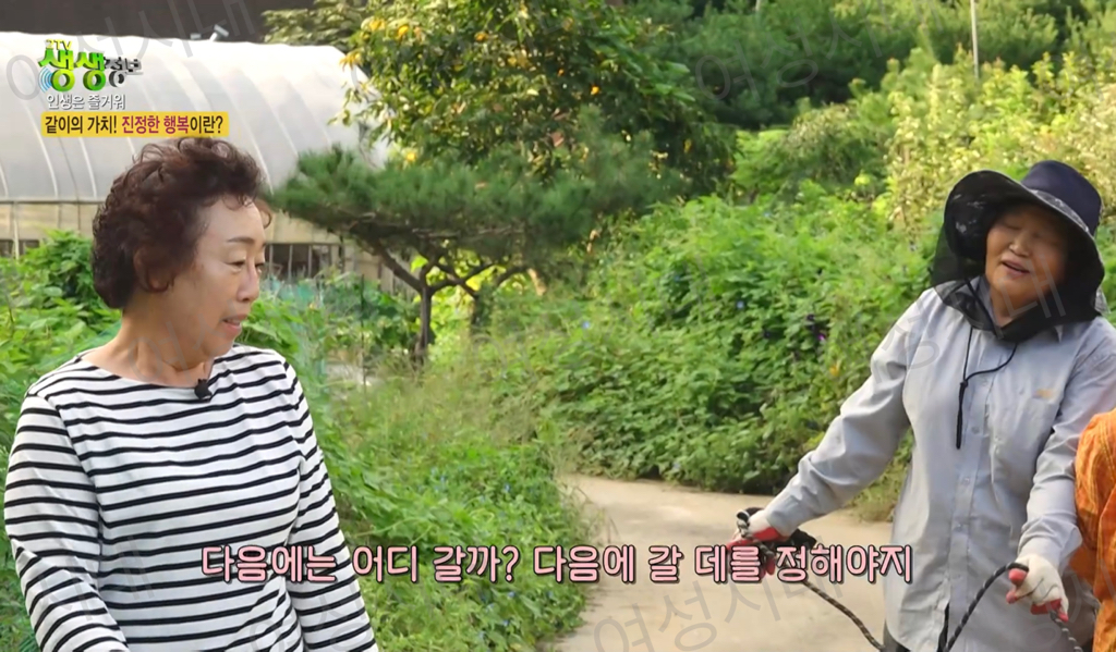 비혼여성의-로망-그자체인-생생정보통-세-할머니-61-이미지