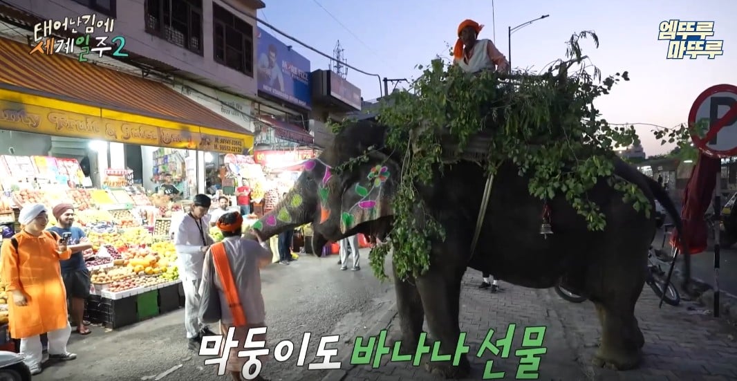 과일가게에서-만난-코끼리에게-다-퍼준-기안84-7-이미지