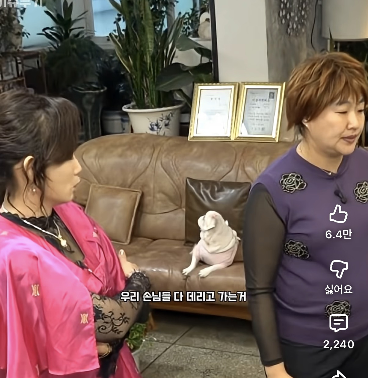 얼굴로-장사하냐고-시비걸린-이수지-0-이미지