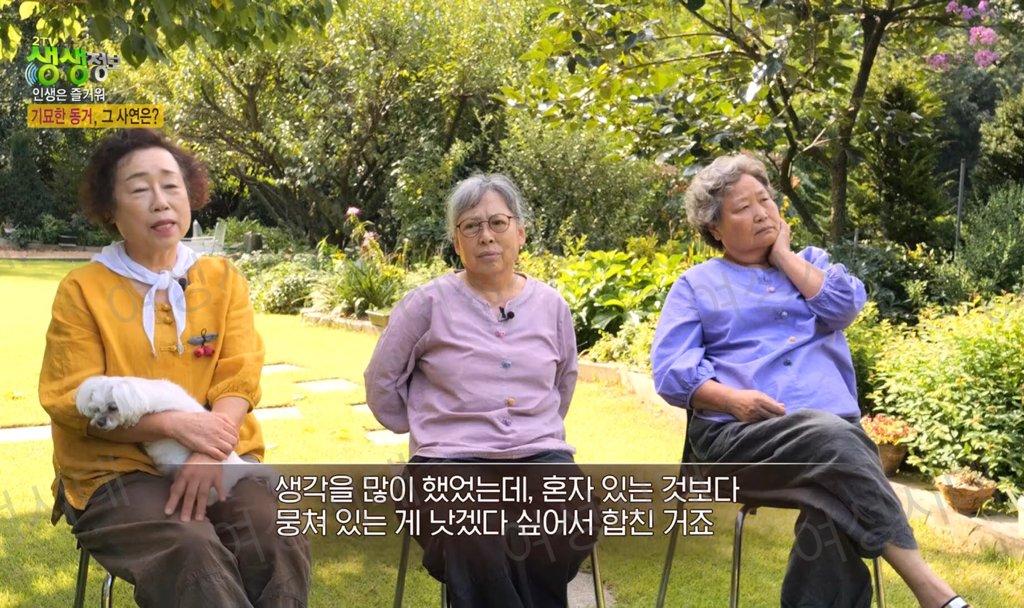 비혼여성의-로망-그자체인-생생정보통-세-할머니-58-이미지