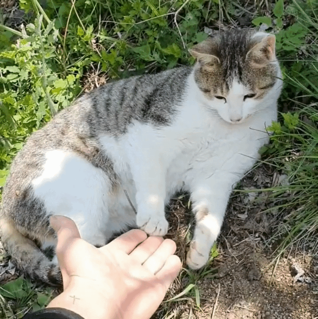 `남들보다-조건이-좋지-않은데-과연-내가-이-일을-할-수-있을까?`-0-이미지