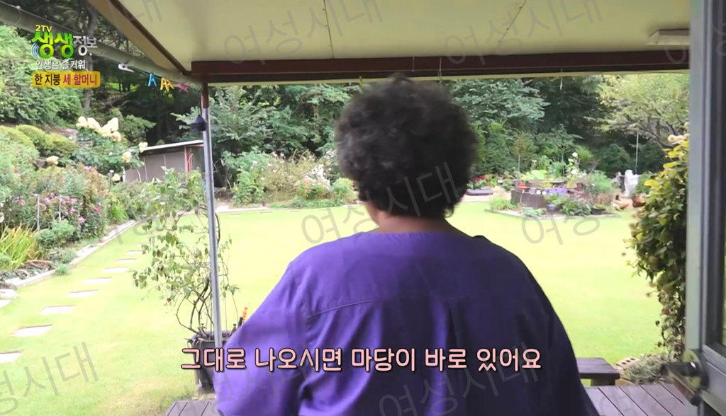 비혼여성의-로망-그자체인-생생정보통-세-할머니-13-이미지