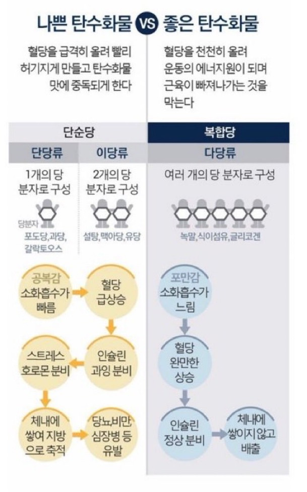 탄수화물-꼭-먹어야-되는-이유-2-이미지