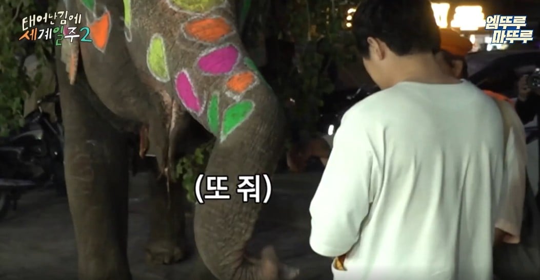 과일가게에서-만난-코끼리에게-다-퍼준-기안84-22-이미지