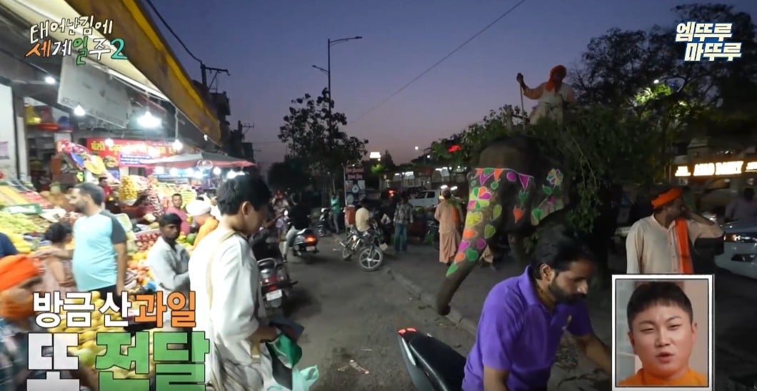 과일가게에서-만난-코끼리에게-다-퍼준-기안84-33-이미지