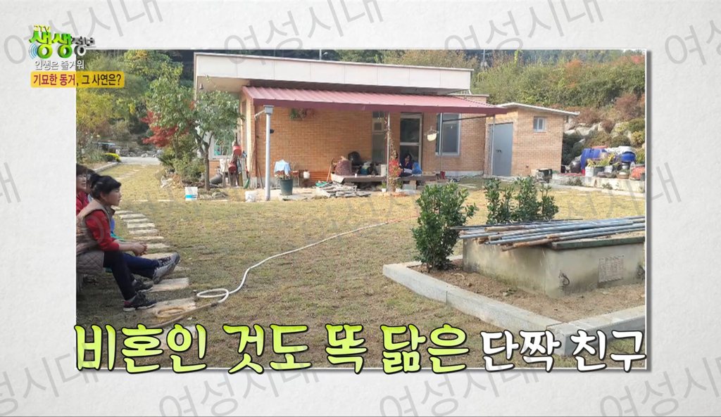 비혼여성의-로망-그자체인-생생정보통-세-할머니-50-이미지