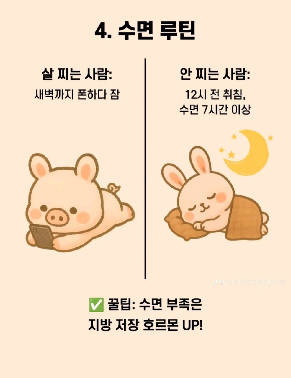 살-찌는-사람-VS-살-안찌는-사람-4-이미지