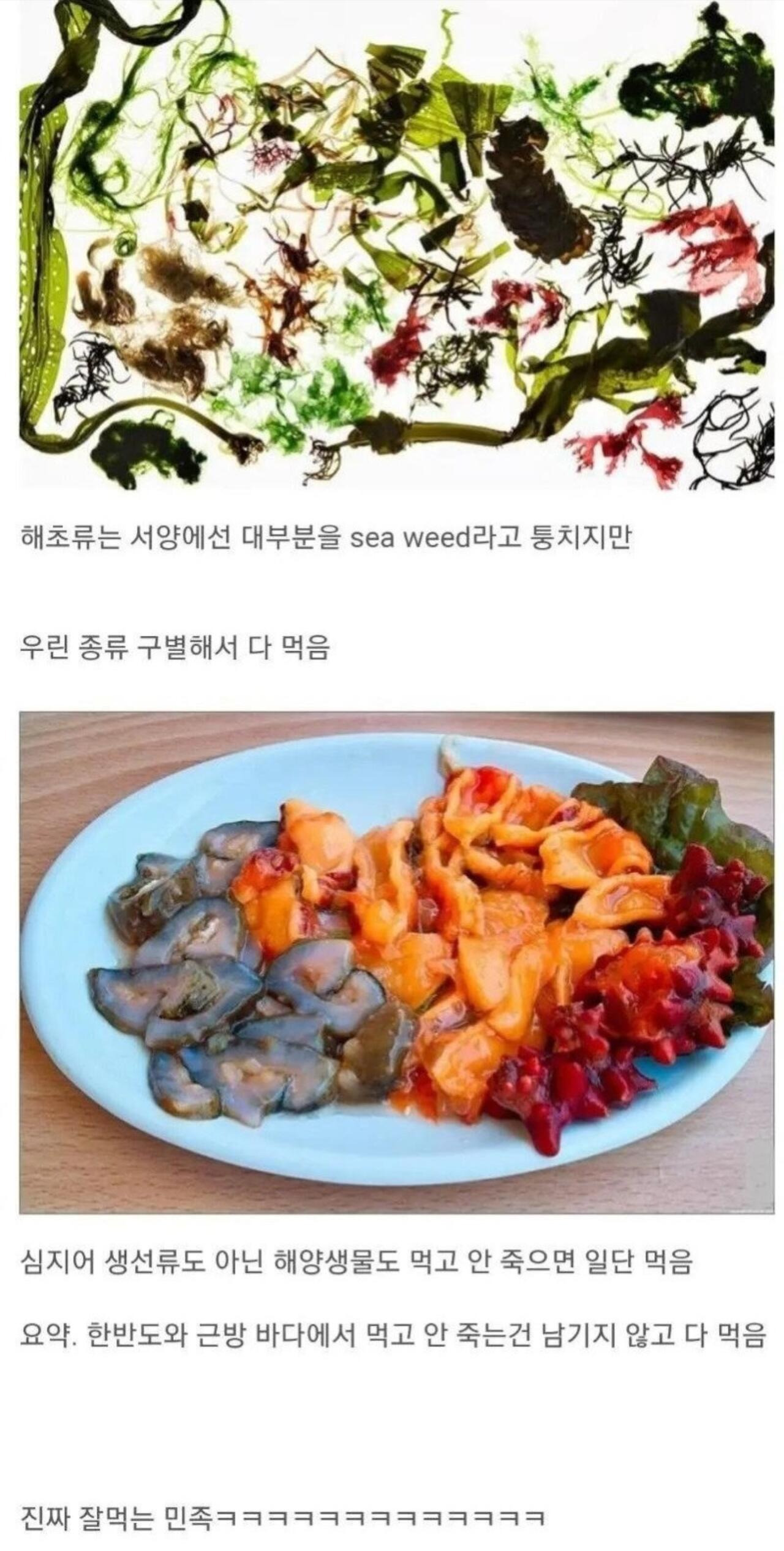 뭐든지-잘-먹는-한국인들-0-이미지